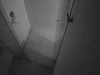 Casa Salsa Bathroom 7's Live Sex Cam Show