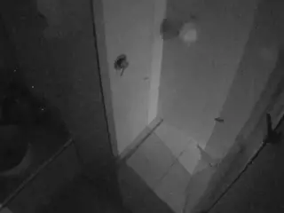 Casa Salsa Bathroom 7's Live Sex Cam Show