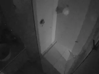Casa Salsa Bathroom 7's Live Sex Cam Show