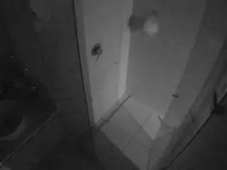 Casa Salsa Bathroom 7's Live Sex Cam Show