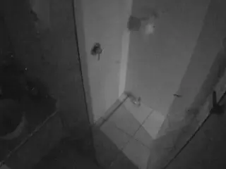 Casa Salsa Bathroom 7's Live Sex Cam Show