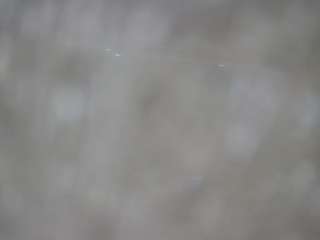 voyeurcam-casa-salsa-bedroom-3