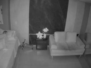 voyeurcam-casa-s... Live Webcam on CamSoda