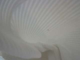 voyeurcam-casa-salsa-bedroom-3