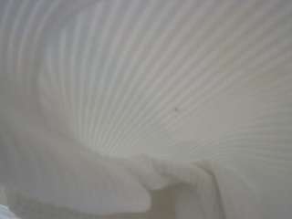 voyeurcam-casa-salsa-bedroom-3