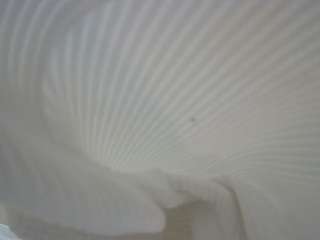 voyeurcam-casa-salsa-bedroom-3