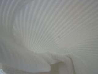 voyeurcam-casa-salsa-bedroom-3