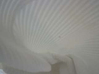 voyeurcam-casa-salsa-bedroom-3