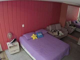  live cam