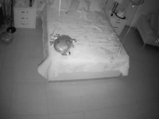 Casa Salsa Bedroom 6