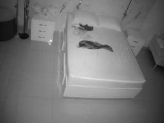voyeurcam-casa-salsa-bedroom-6