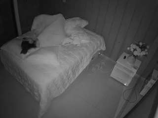 voyeurcam-casa-s... Live Webcam on CamSoda