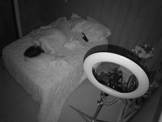 voyeurcam-casa-salsa-bedroom-7 live cam profile