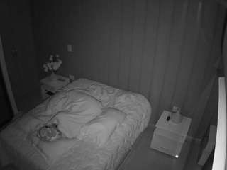 Live stream of voyeurcam-casa-salsa-bedroom-7
