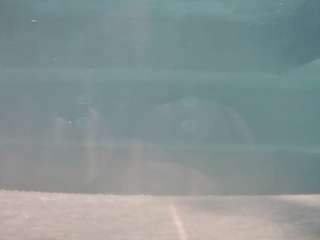voyeurcam-casa-salsa-hottub