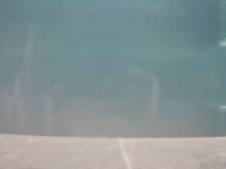 voyeurcam-casa-salsa-hottub