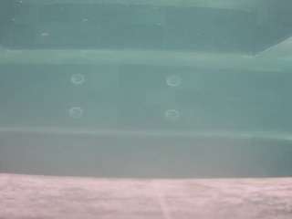 voyeurcam-casa-salsa-hottub