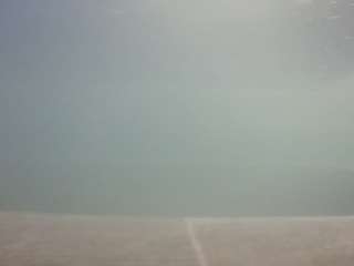 voyeurcam-casa-salsa-hottub