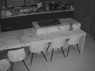 Cam Live Adult camsoda voyeurcam-casa-salsa-kitchen