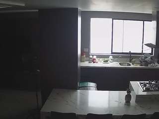 voyeurcam-casa-salsa-kitchen