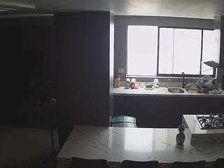 voyeurcam-casa-salsa-kitchen