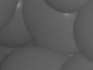 voyeurcam-casa-salsa-kitchen