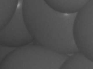 voyeurcam-casa-s... Live Webcam on CamSoda