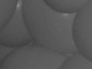 voyeurcam-casa-salsa-kitchen