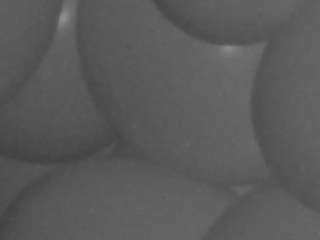 voyeurcam-casa-salsa-kitchen