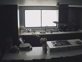voyeurcam-casa-salsa-kitchen