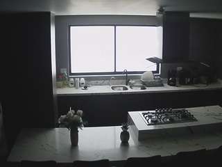 voyeurcam-casa-s... Live Webcam on CamSoda