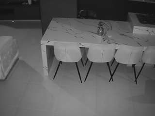 voyeurcam-casa-salsa-kitchen