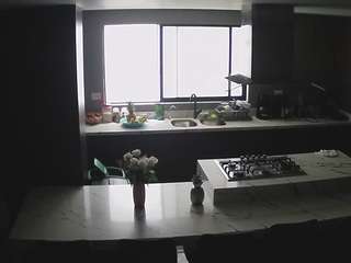 voyeurcam-casa-salsa-kitchen