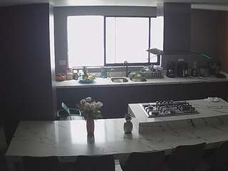 voyeurcam-casa-salsa-kitchen