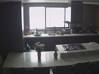 voyeurcam-casa-salsa-kitchen