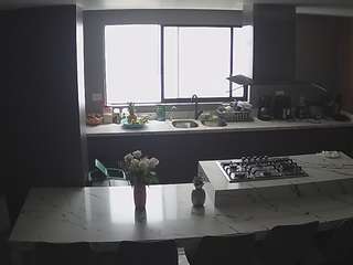 voyeurcam-casa-salsa-kitchen