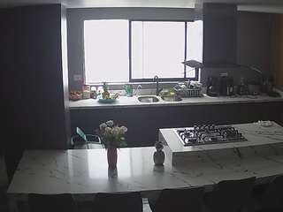 voyeurcam-casa-salsa-kitchen