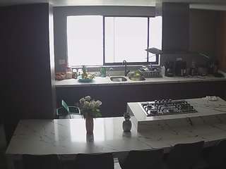 voyeurcam-casa-salsa-kitchen