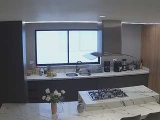voyeurcam-casa-salsa-kitchen