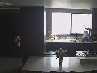 voyeurcam-casa-salsa-kitchen