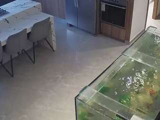 voyeurcam-casa-salsa-kitchen