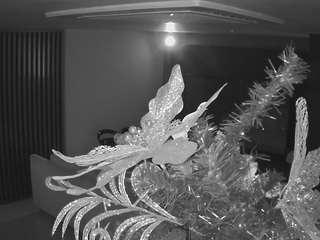 voyeurcam-casa-salsa-kitchen