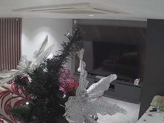 voyeurcam-casa-salsa-kitchen