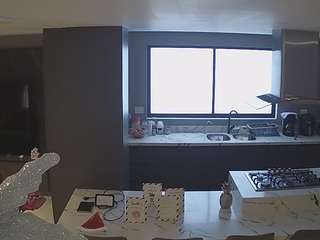 voyeurcam-casa-salsa-kitchen