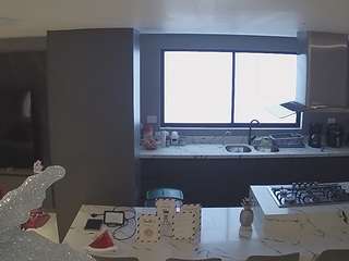 voyeurcam-casa-salsa-kitchen