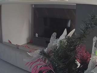 voyeurcam-casa-salsa... webcam