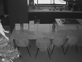 voyeurcam-casa-salsa-kitchen