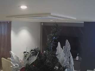 voyeurcam-casa-s... Live Webcam on CamSoda