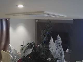 voyeurcam-casa-s... Live Webcam on CamSoda