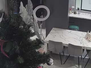 voyeurcam-casa-salsa-kitchen